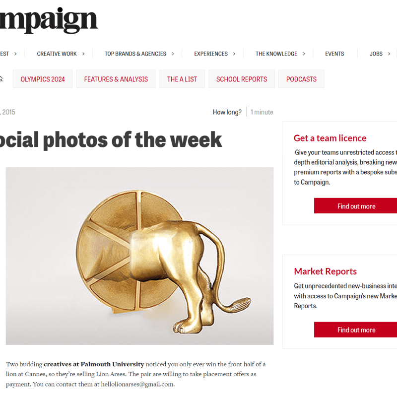 campaign lionarses