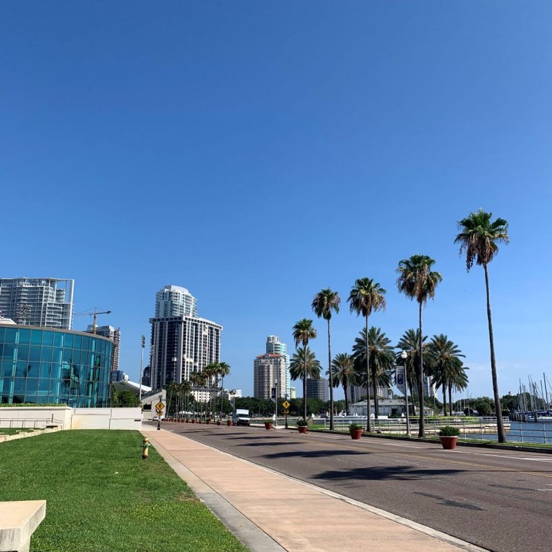 A road with palm trees and blue sky