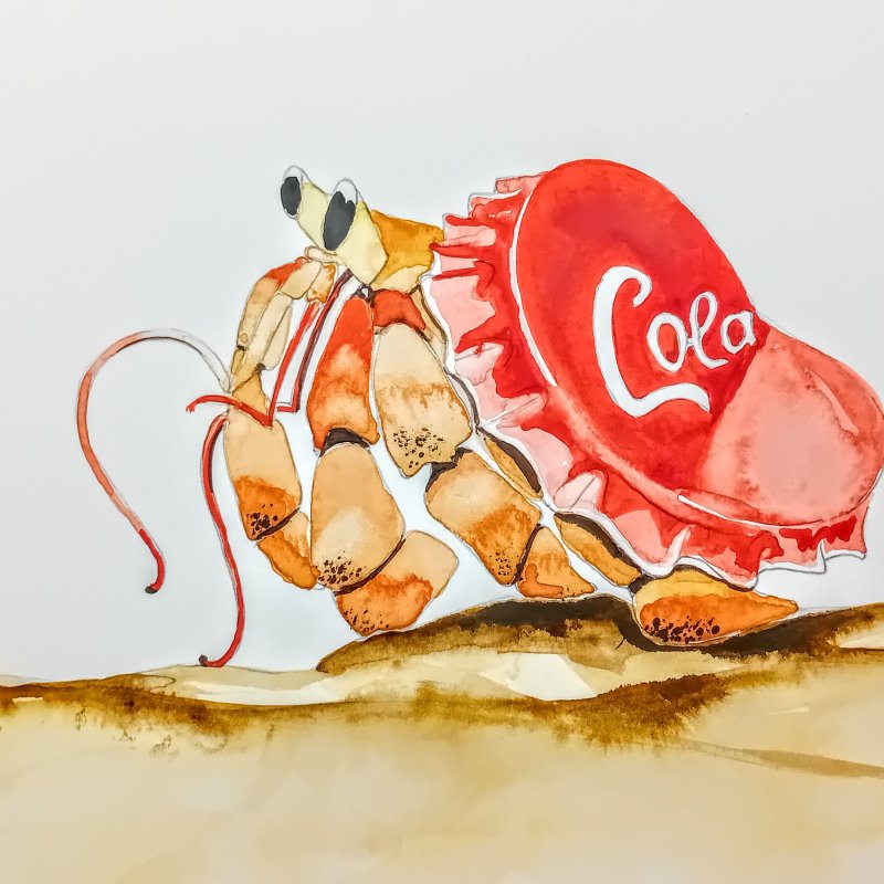 A water colour painting of a hermit crab with a metal Coca-Cola bottle top lid as a shell. Artist is BA Illustration Online student Alison Udall