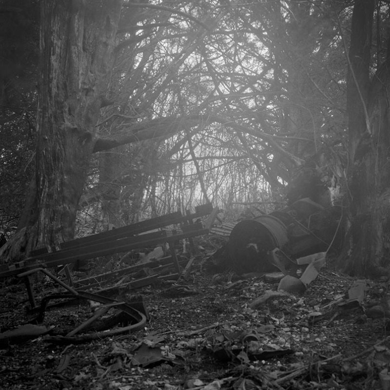 Black and white photograph of metal in woodland