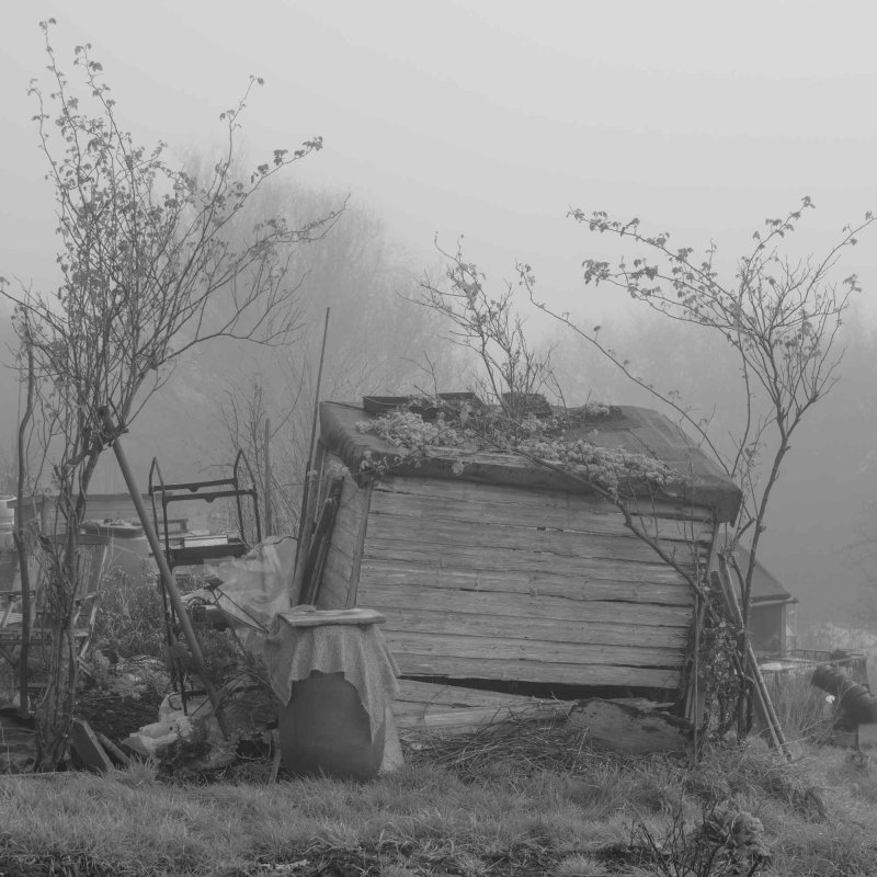 Colin Pantall image