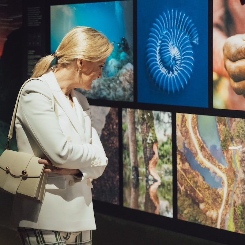 The Duchess of Edinburgh looking at a wall of photographs