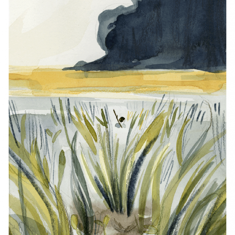 Illustration: the person wanders through some reeds towards a river