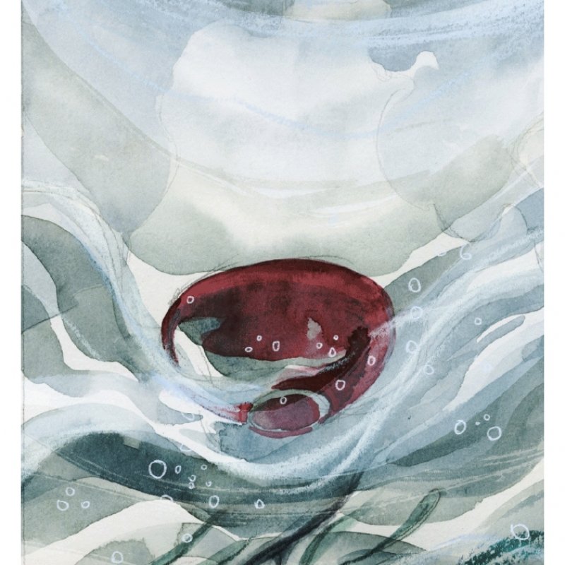 Illustration: a depiction of the teacup canoe from below the surface of the water