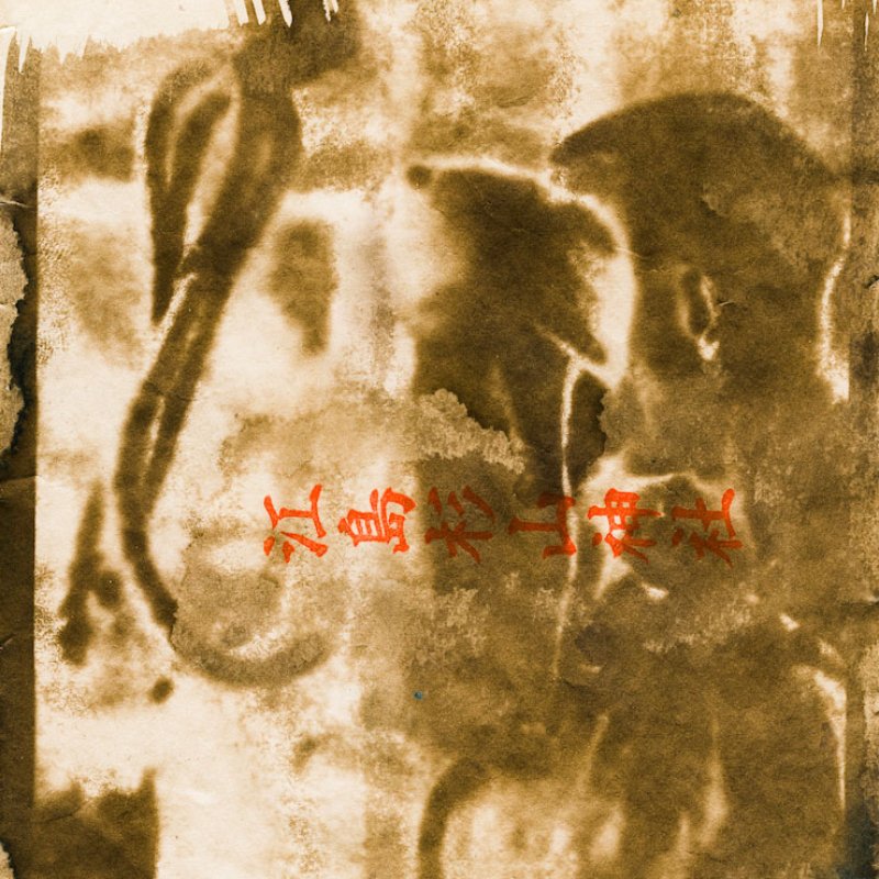 Abstract photograph with Japanese writing