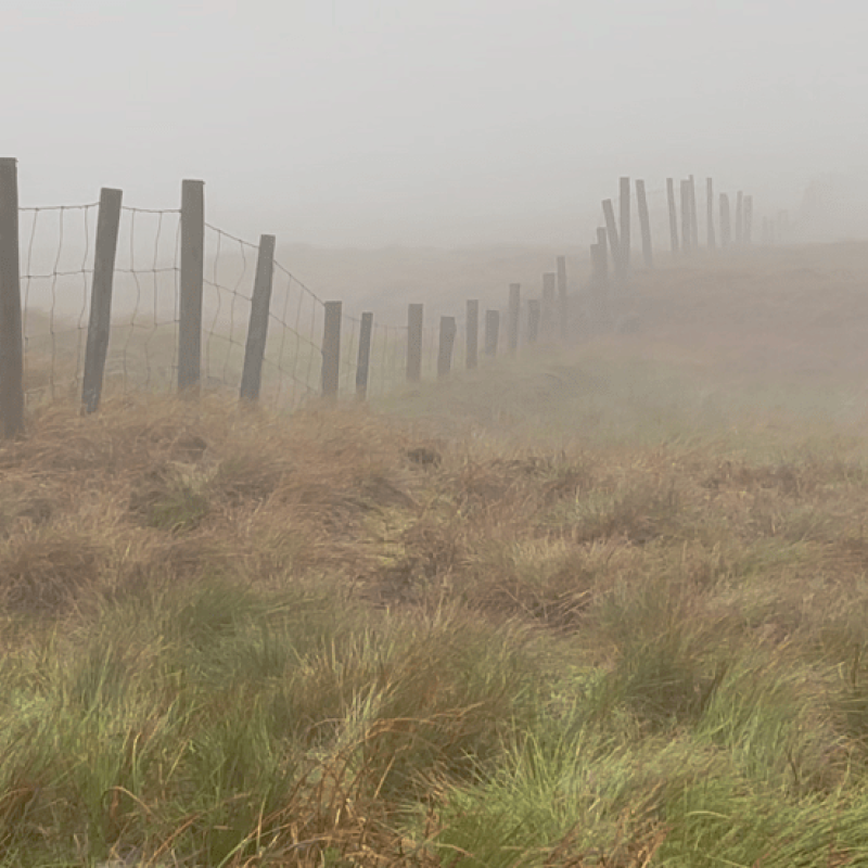 A misty field with a fence