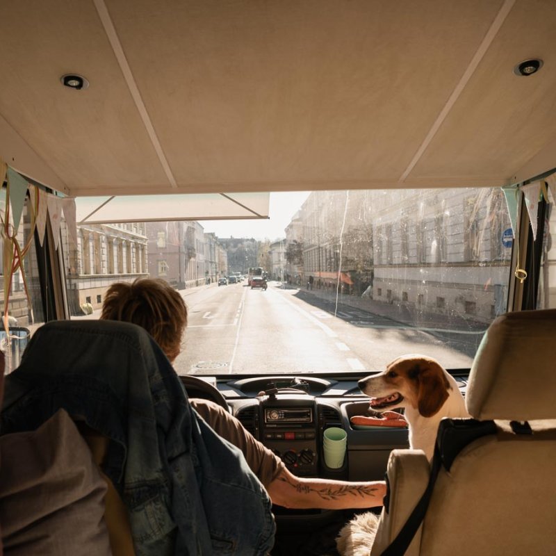 Photograph of a woman and a dog in the front of a van