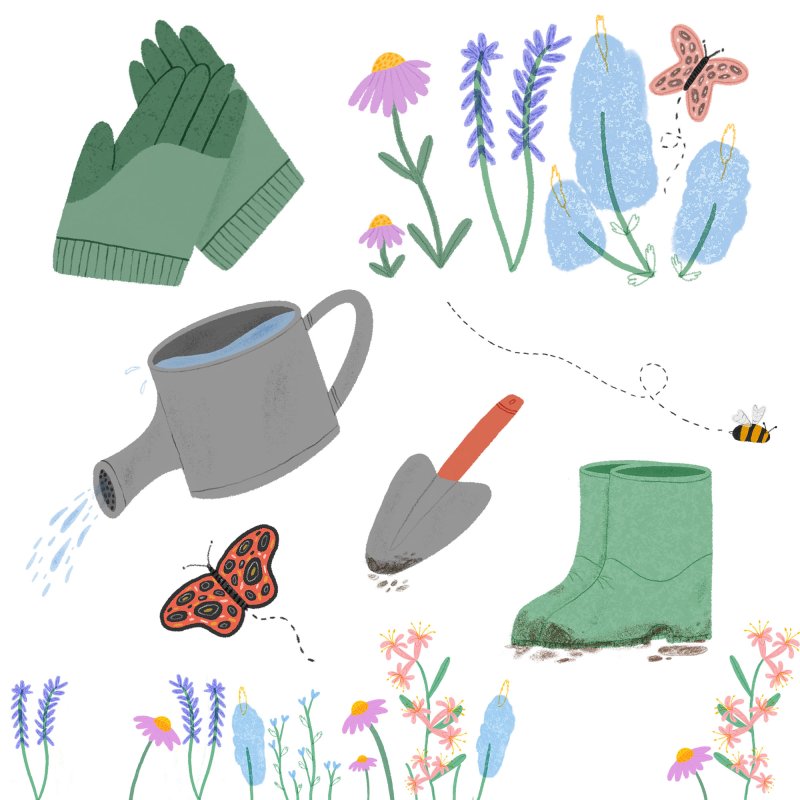 An illustration of different gardening tools