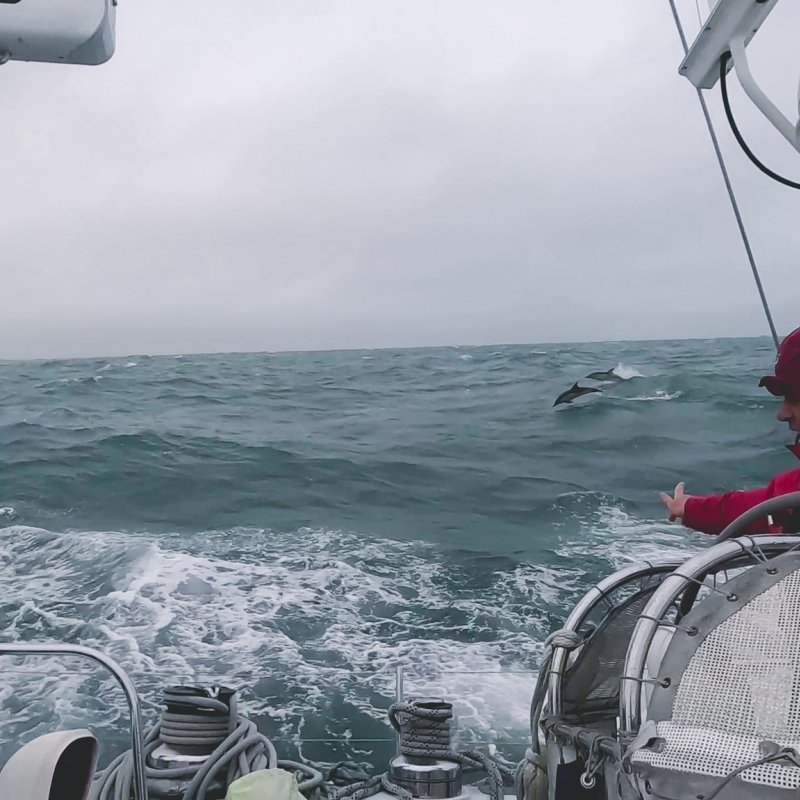 Student sailing Student sailing 