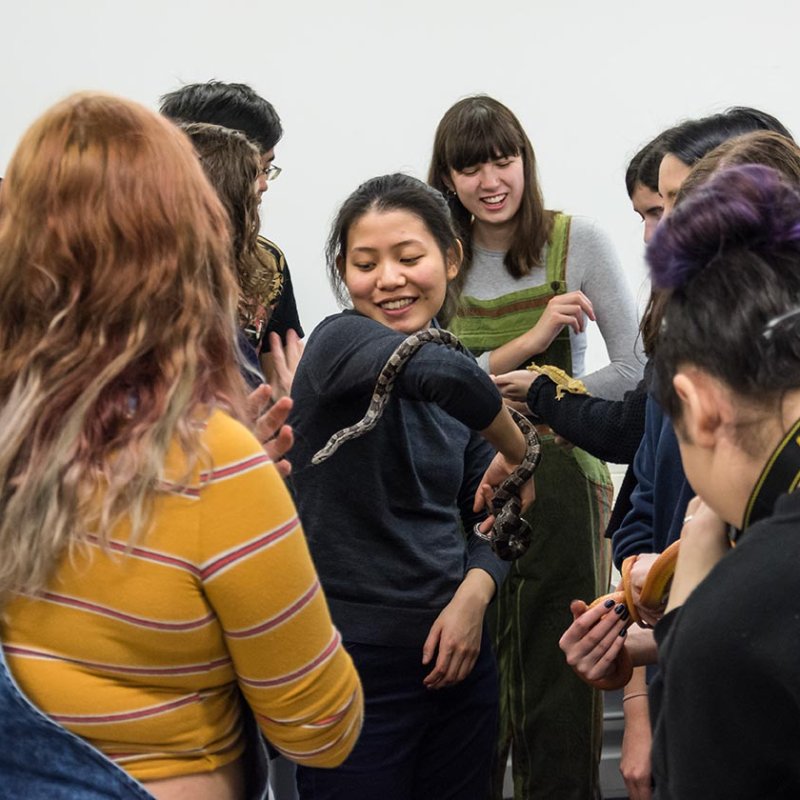 Falmouth University students holding snakes