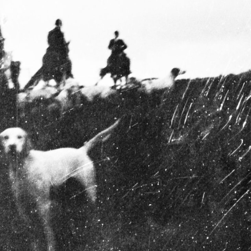 Photograph of people on horseback and dogs