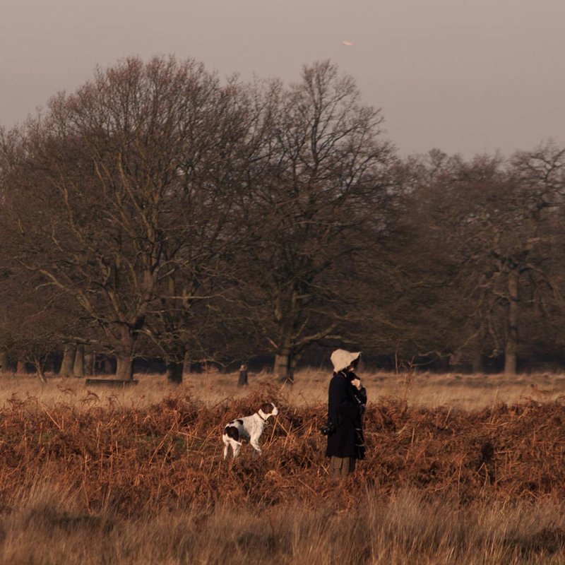 P person wearing a big hat with a dog walking among winter trees