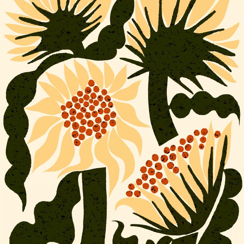 Illustration of four sunflowers