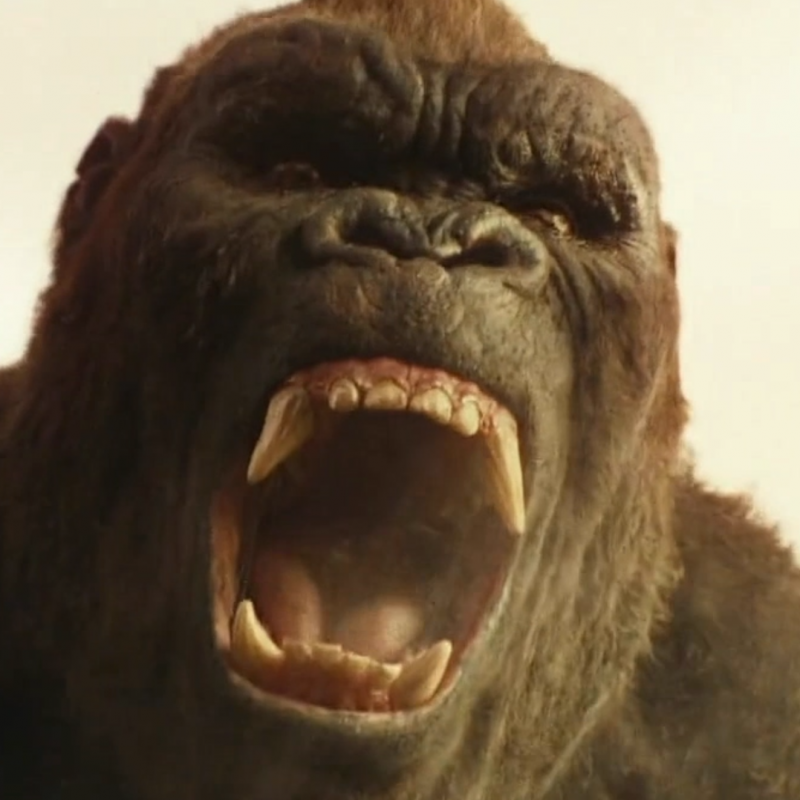 Kong