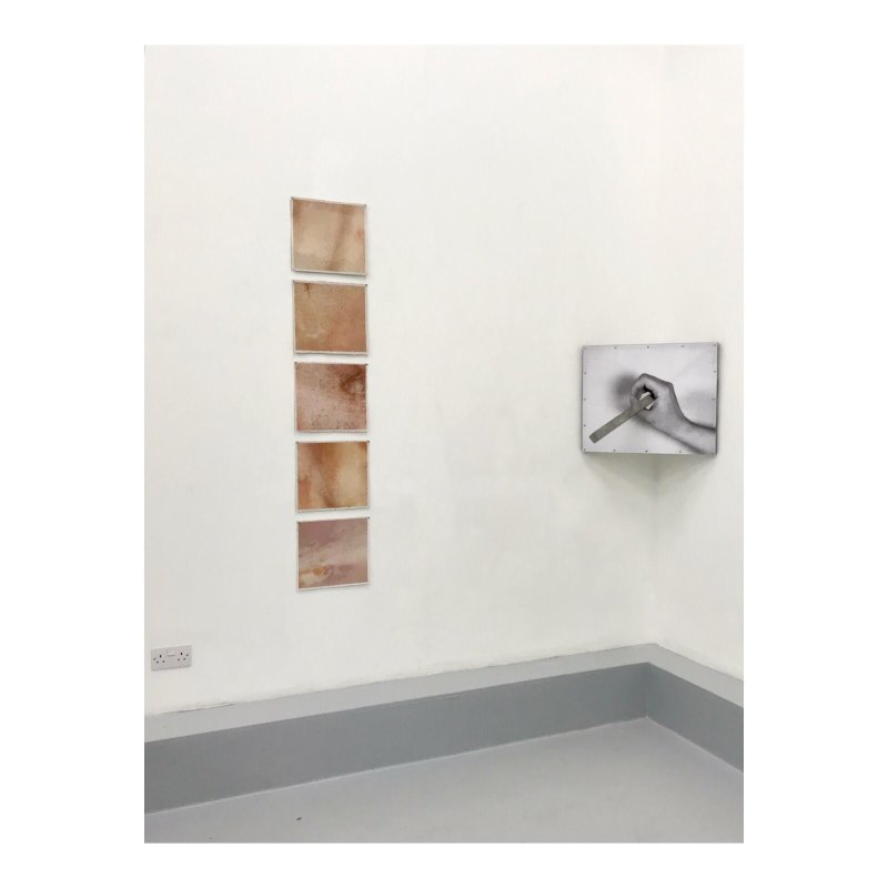 Laura Blight art exhibition