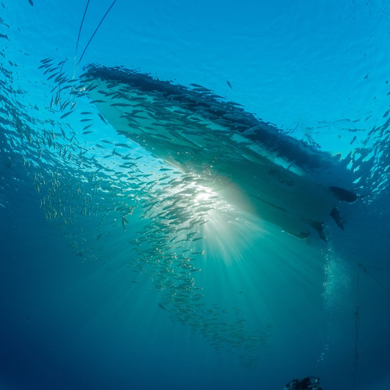 Underwater photo of the underside of a boat, with the blue sky and sun shine showing through the water's surface.