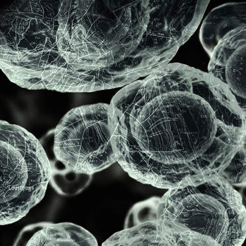 Photograph of bubbles by Yas Crawford