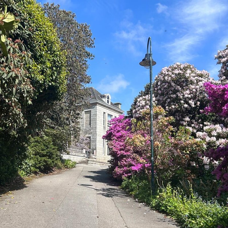 Penryn campus with path and rhododendrons