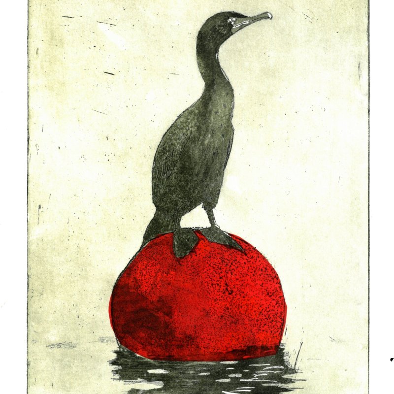 Amelia Johnson art depicting birds