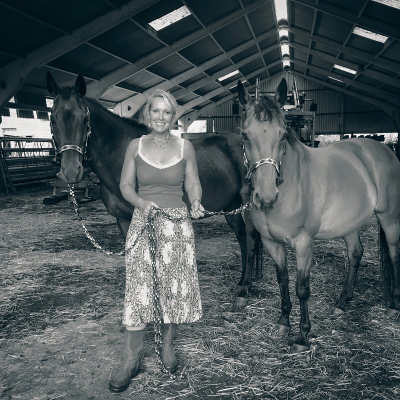 Lucy and horses