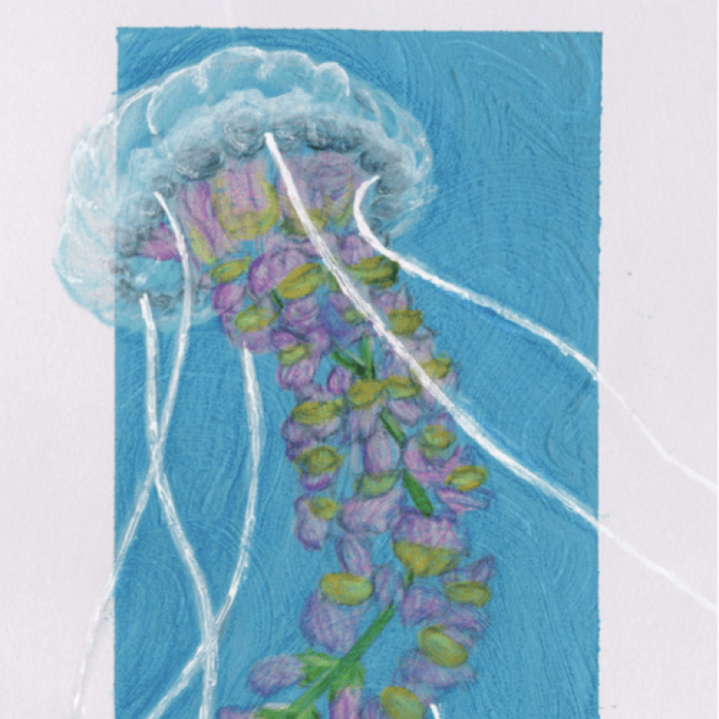Painting of a jellyfish on a blue background