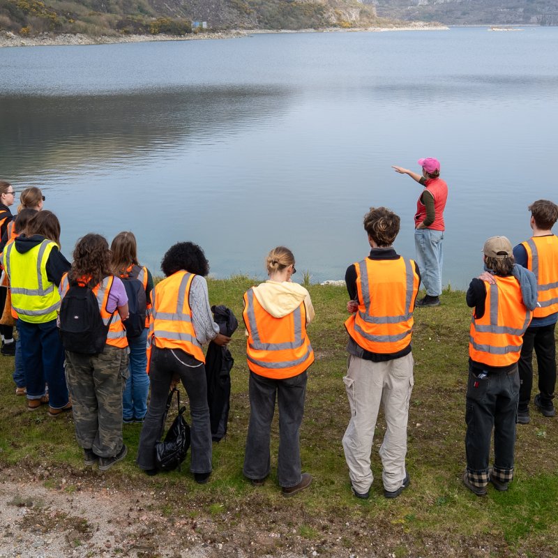 Students in a trip