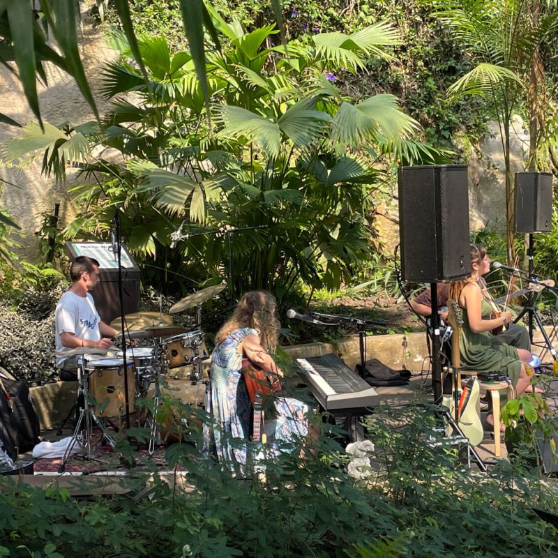 A band performing surrounded by plants in an Eden Project biome