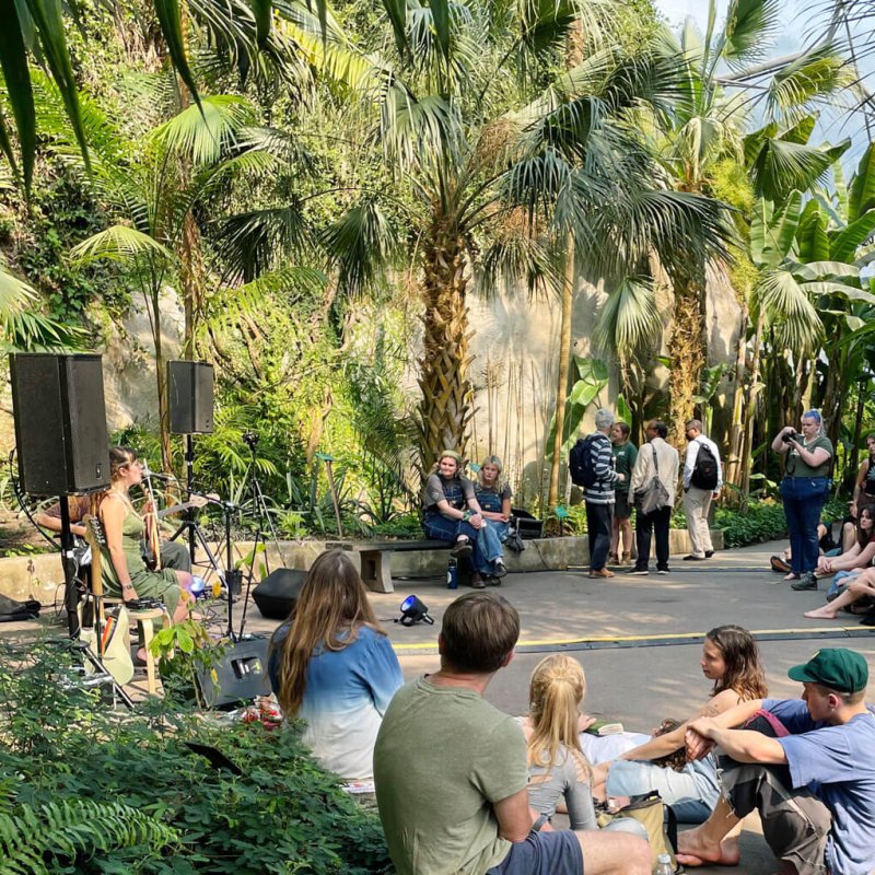 A band performing in an Eden Project biome