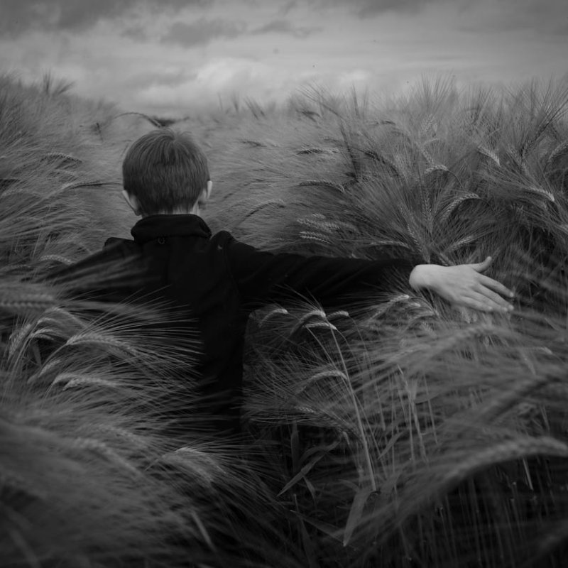 Black and white photograph of a boy walking through a field of corn