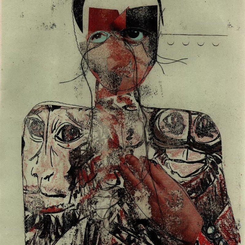 An abstract illustration of a woman - her body is covered in animal faces