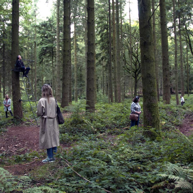 Bronwen Buckeridge working in the woods