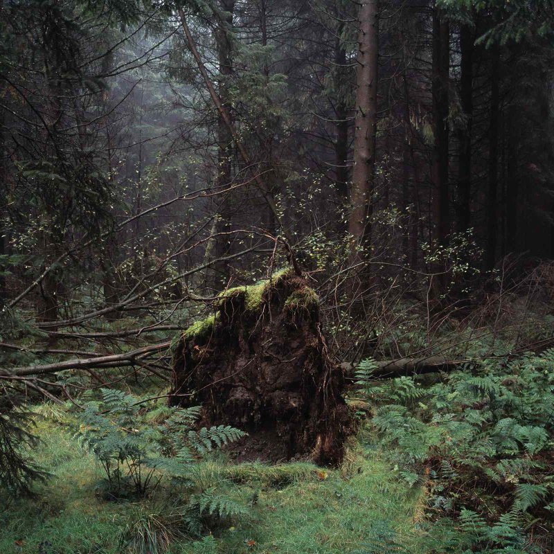 Jesse Alexander work
