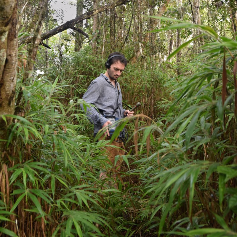 Dr Tim Cockerill in the rainforest with recording equipment 
