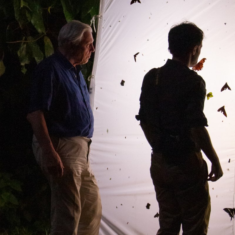 Dr Tim Cockerill and Sir David Attenborough looking at insects 