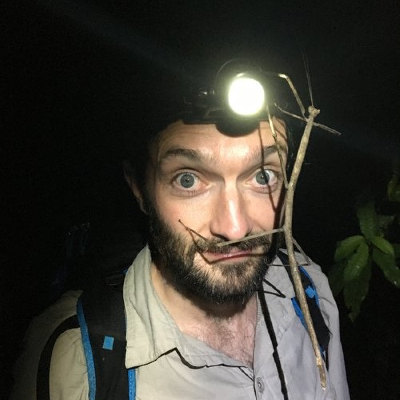 Dr Tim Cockerill looking into the camera with a stick insect on his face 