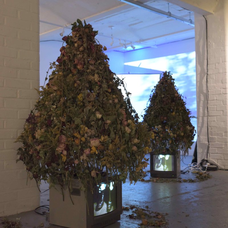 Tree installation at an Art Exhibition