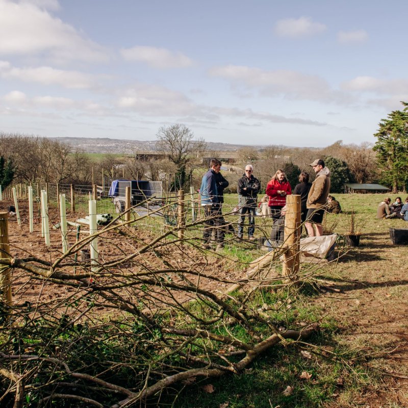 Volunteers working during Falmouth University's community tree planting event