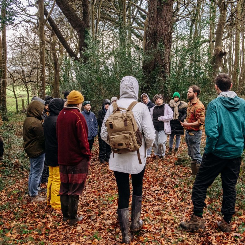 Volunteers walking through the woods at Trefusis Estate during Falmouth University's community tree planting event