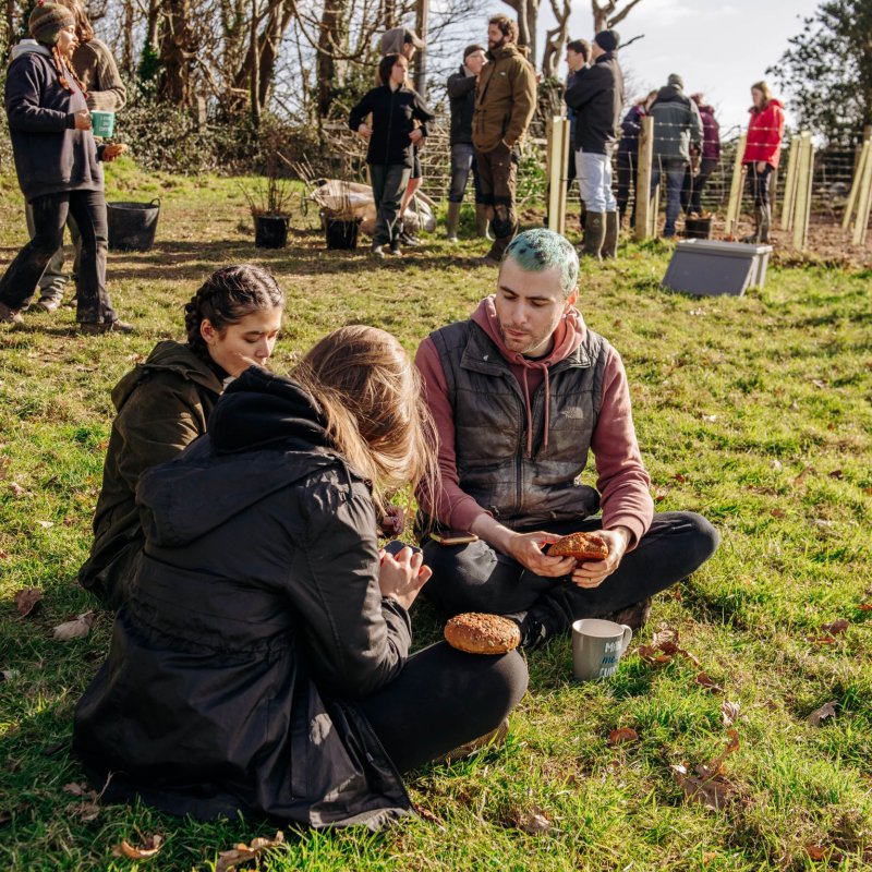 Volunteers eating lunch during Falmouth University's community tree planting event