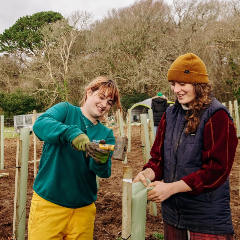 Two volunteers planting trees at Trefusis Estate in Flushing