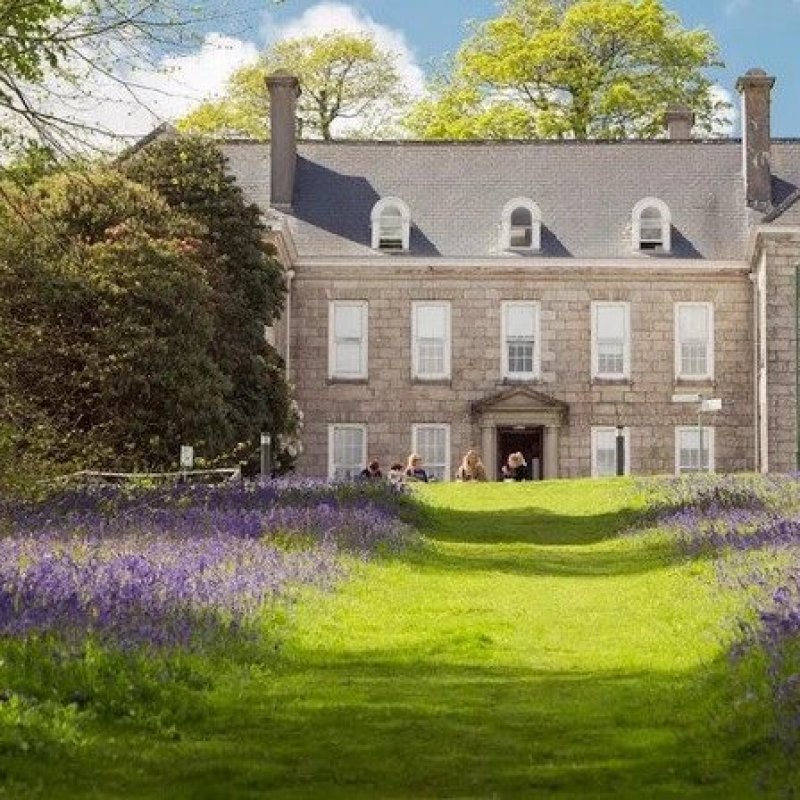 Bluebells stand in front of a grand house