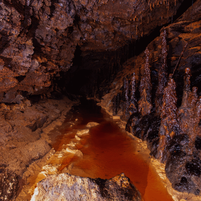 Lost Boys of Carbis Bay