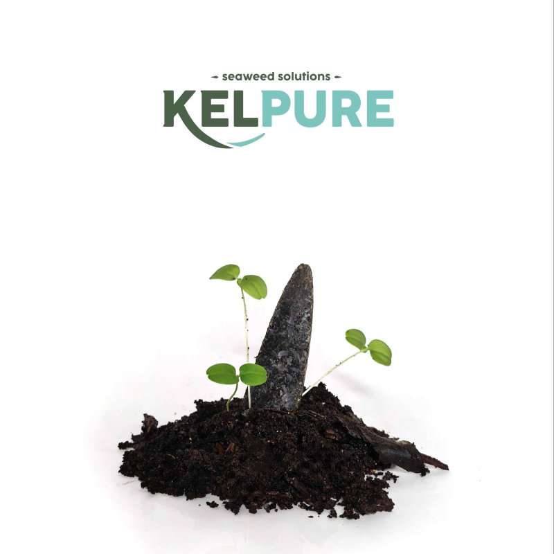 Product Design image