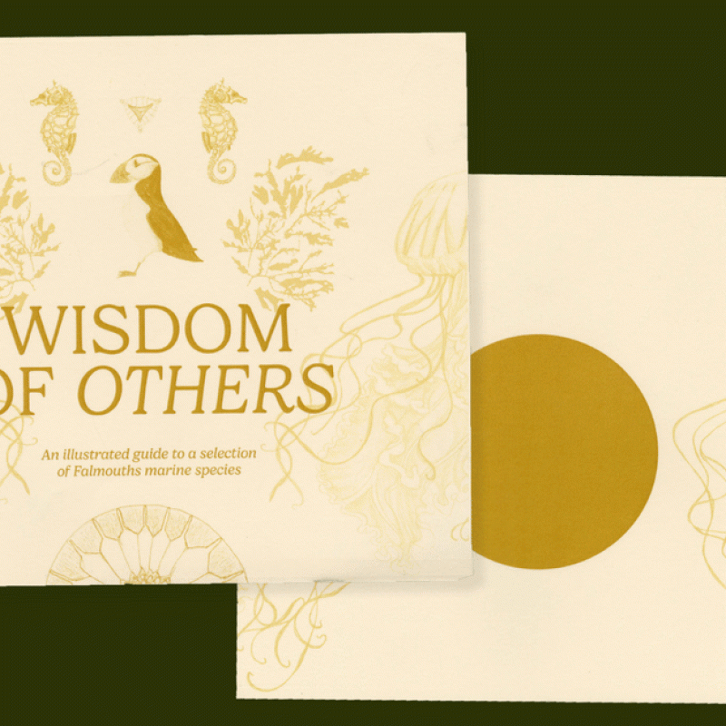 Wisdom of Others