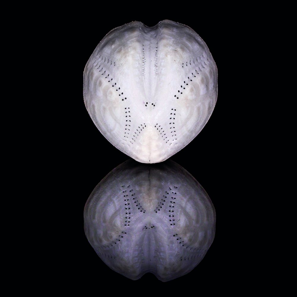 Creative work by Photography student