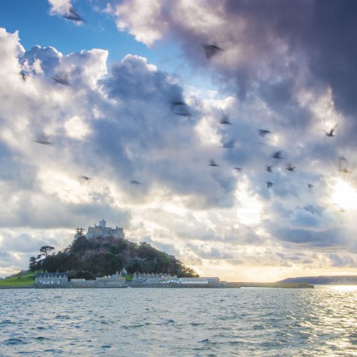 A flock of birds fly past a castle situated on a tidal island - St Michael's Mount