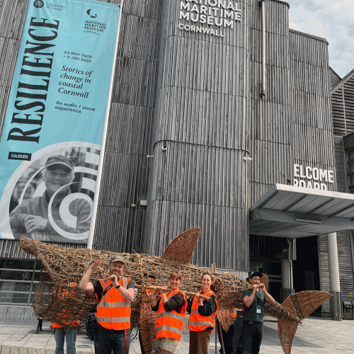 Basket Shark Imagery