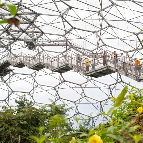 The Eden Project