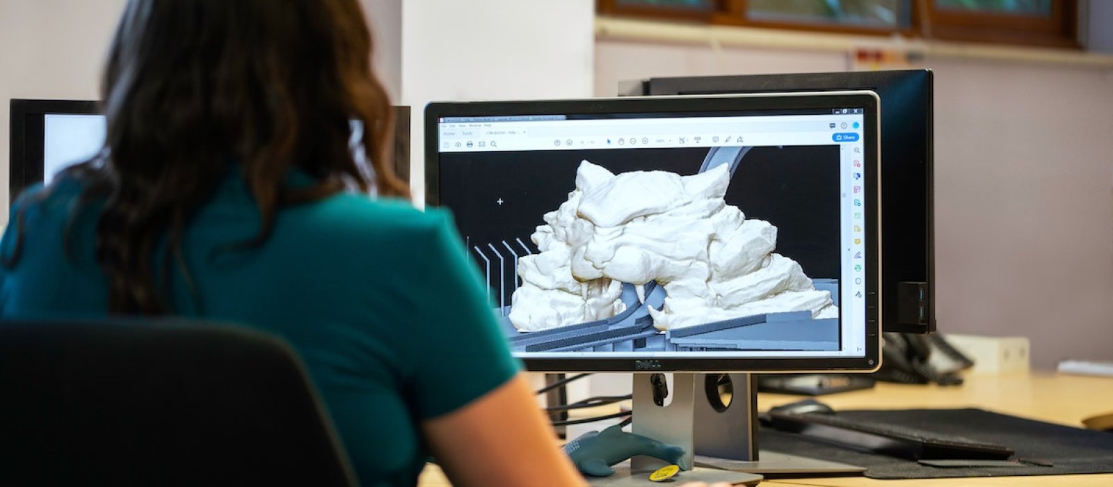 Woman at a computer with a lion illustration on the screen