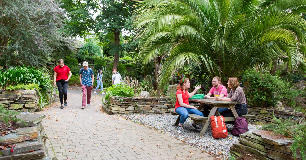 ANIMAL/LAB Falmouth University